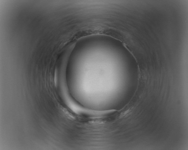 X0000053060818200507111149