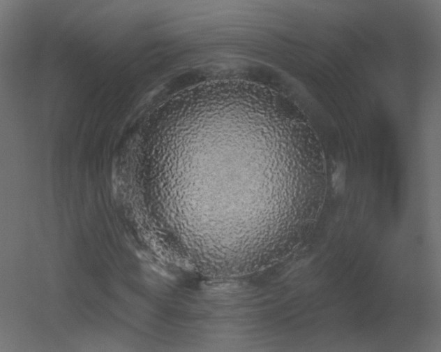 X0000053060819200507111149