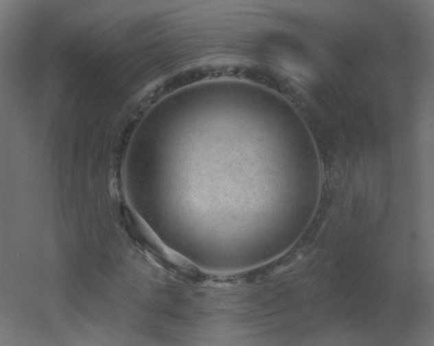 X0000053060821200507111150