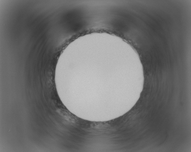 X0000053060824200507111150