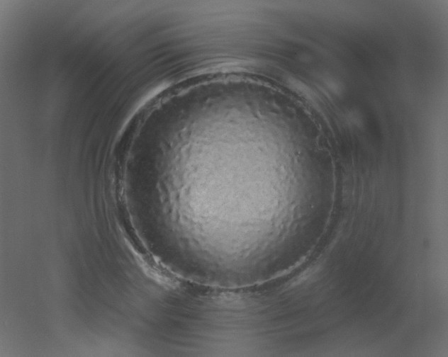 X0000053060827200507111150