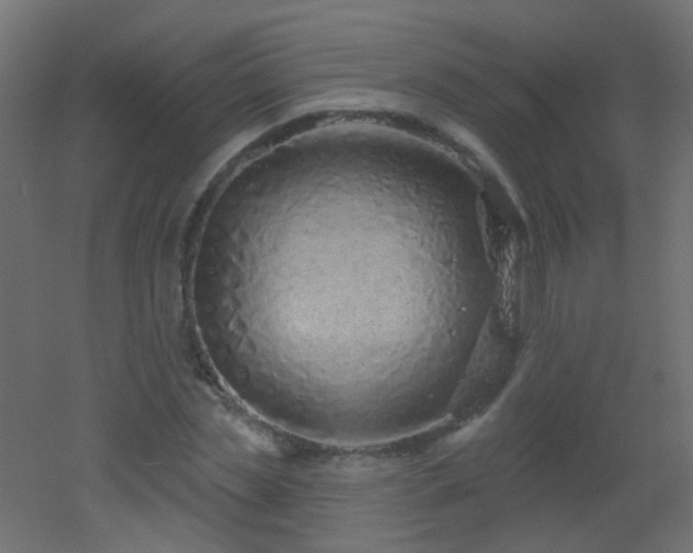 X0000053060829200507111150