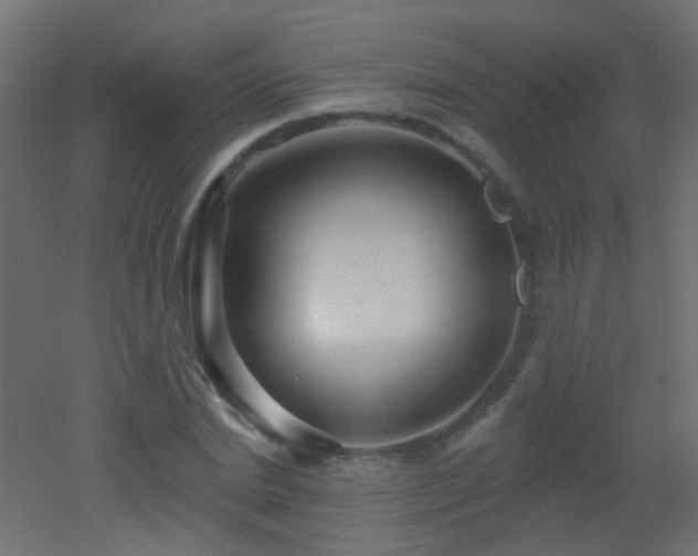 X0000053060830200507111150