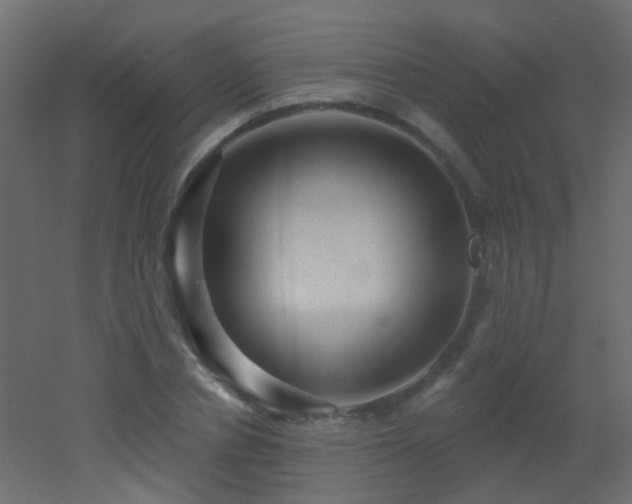 X0000053060834200507111150