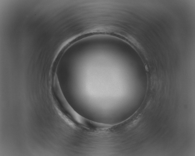 X0000053060838200507111150