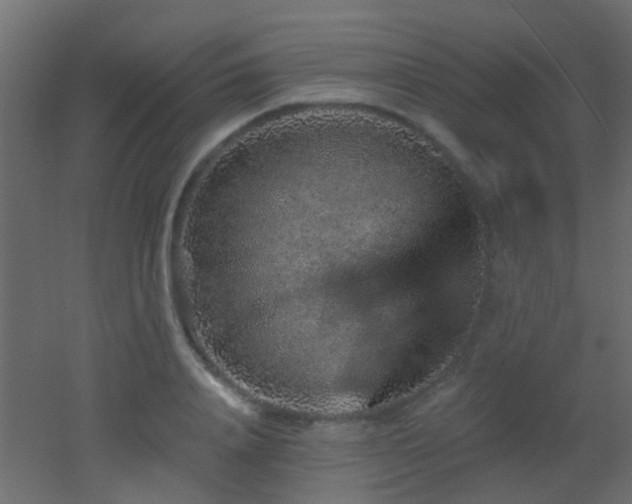 X0000053060840200507111150