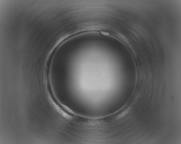 X0000053060843200507111150