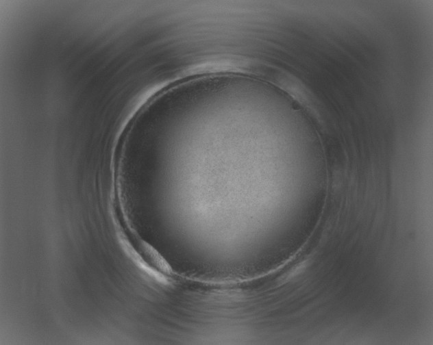 X0000053060844200507111150