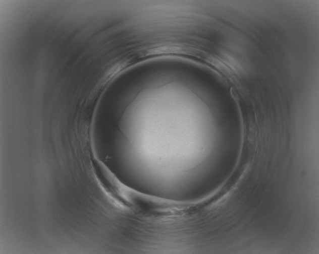 X0000053060849200507111150