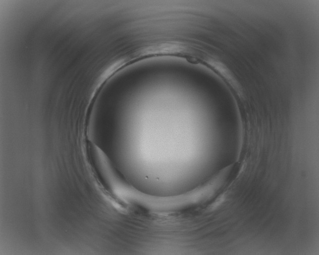 X0000053060850200507111150
