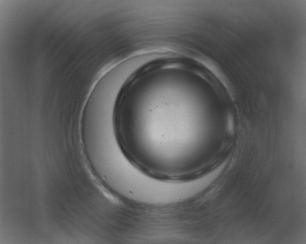 X0000053060858200507111150