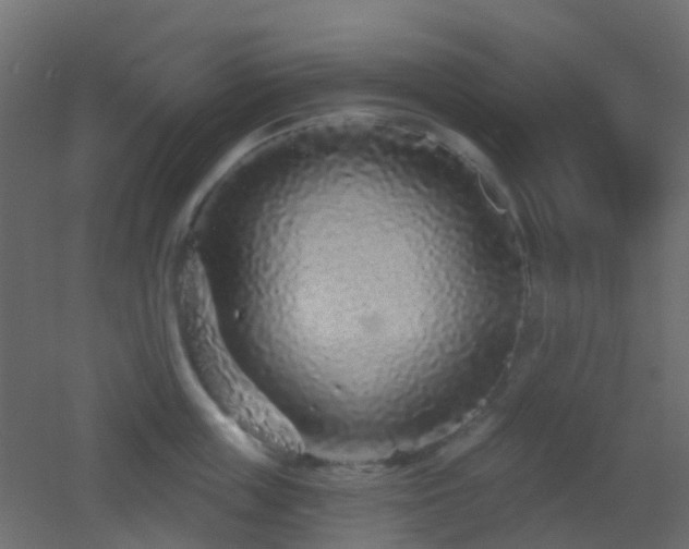X0000053060859200507111150