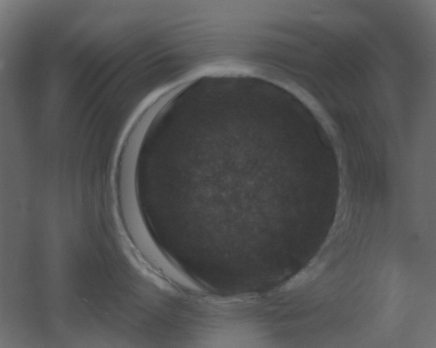 X0000053060864200507111150