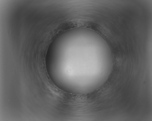 X0000053060865200507111149