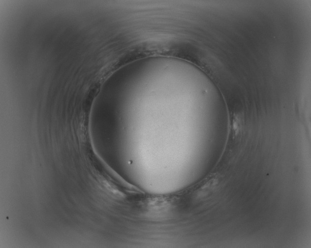 X0000053060867200507111149