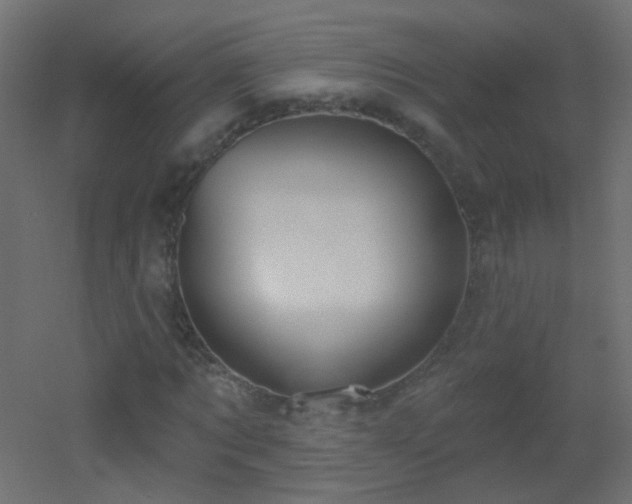 X0000053060869200507111149