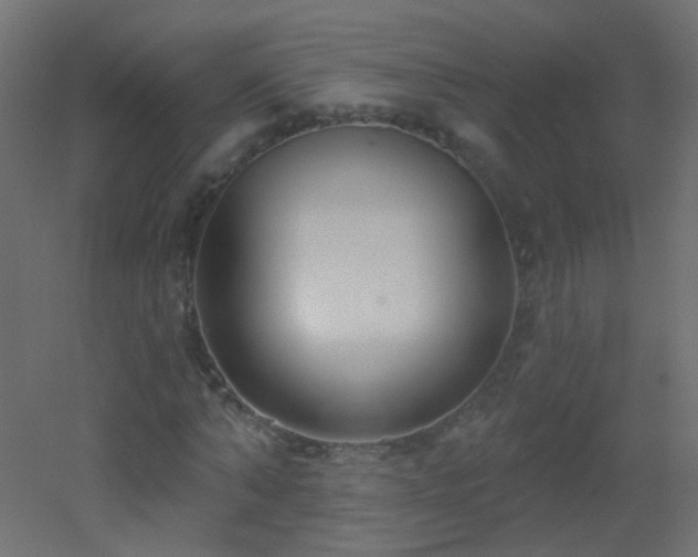 X0000053060870200507111149