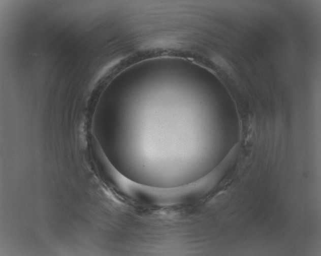 X0000053060872200507111149