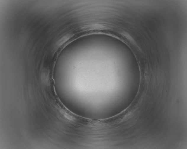 X0000053060873200507111149