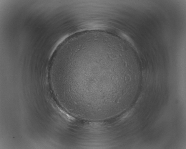 X0000053060875200507111149