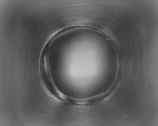 X0000053060884200507111149
