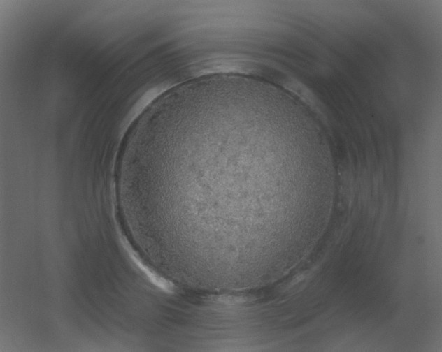 X0000053060890200507111149