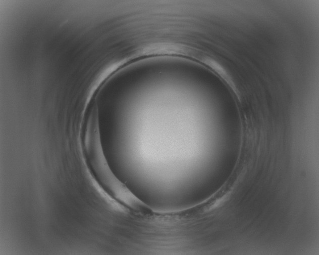 X0000053060901200507111149