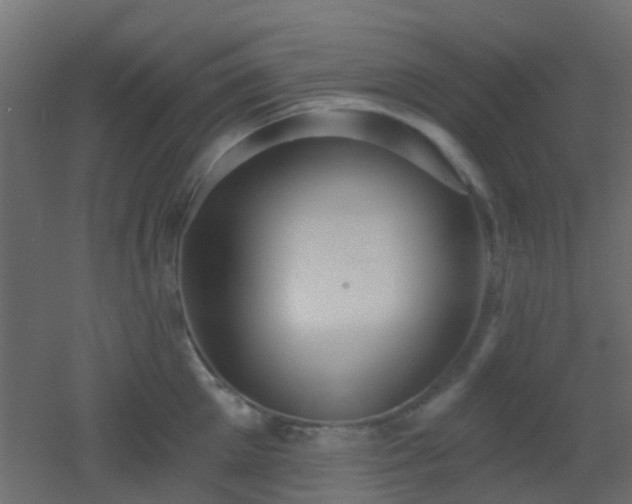 X0000053060905200507111149
