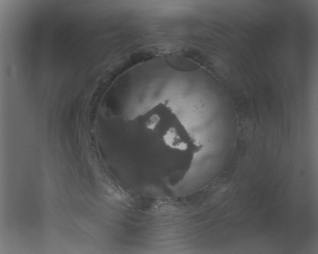 X0000053060913200507111148