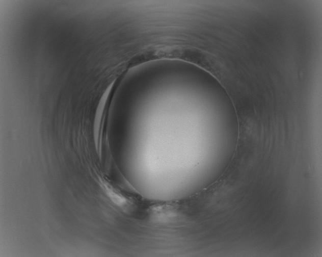 X0000053060914200507111148