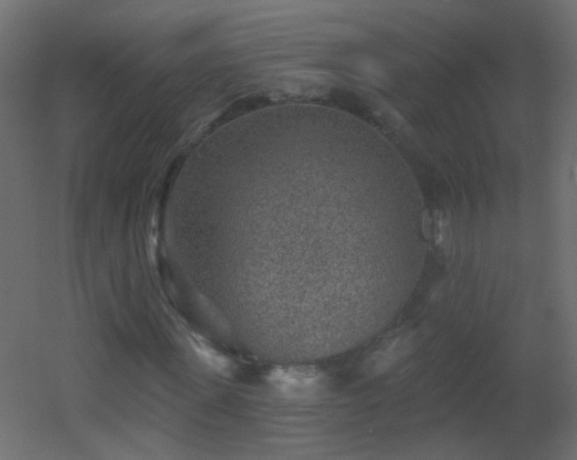 X0000053060915200507111148