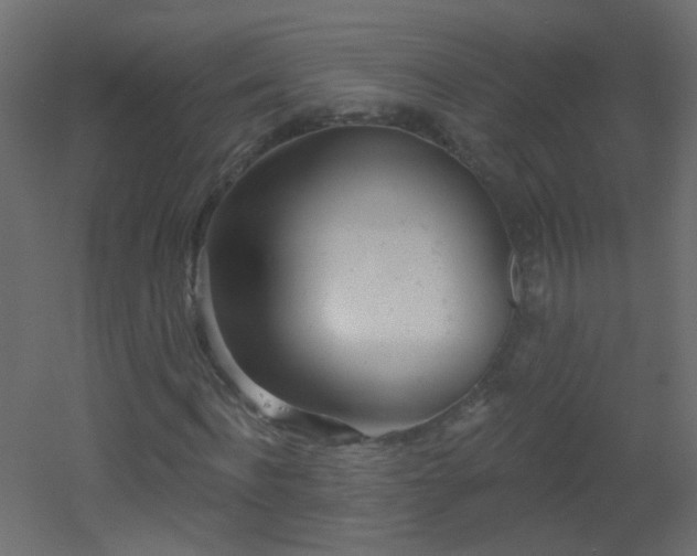 X0000053060916200507111148