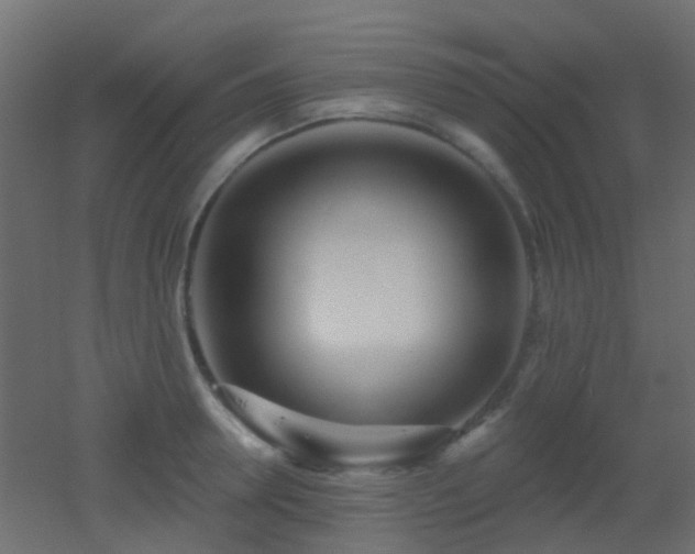 X0000053060946200507111148