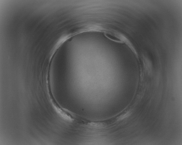 X0000053060954200507111149