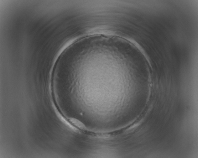 X0000053060957200507111149
