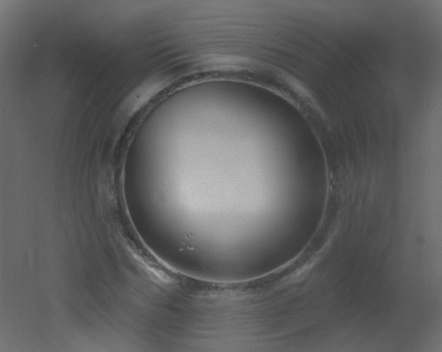 X0000053060970200507111148