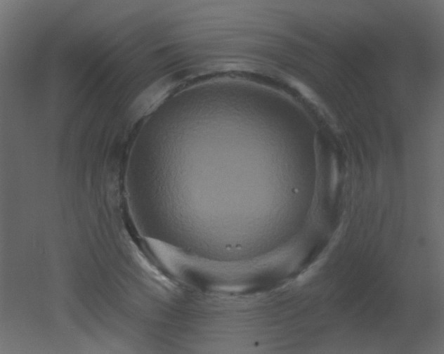 X0000053060977200507111148