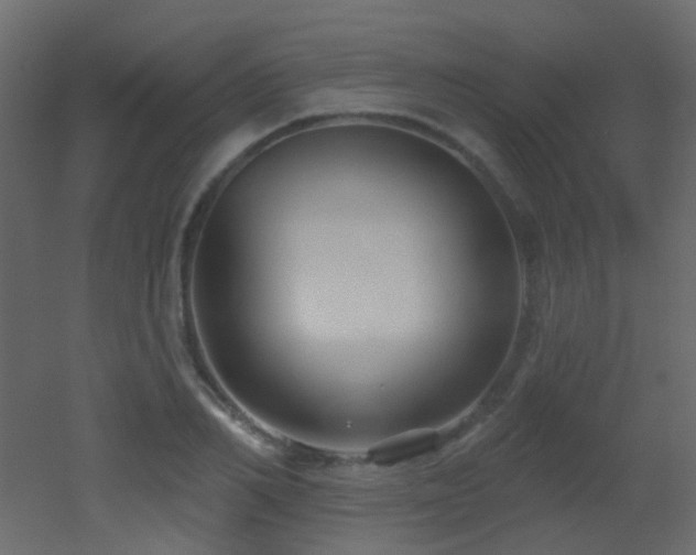 X0000053060982200507111147