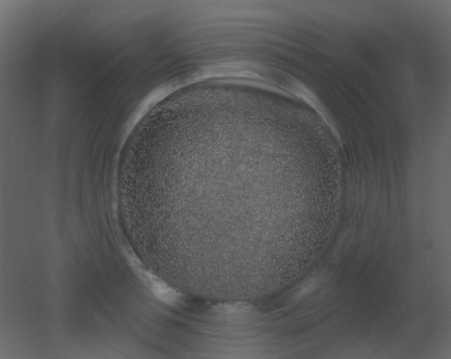 X0000053060994200507111147