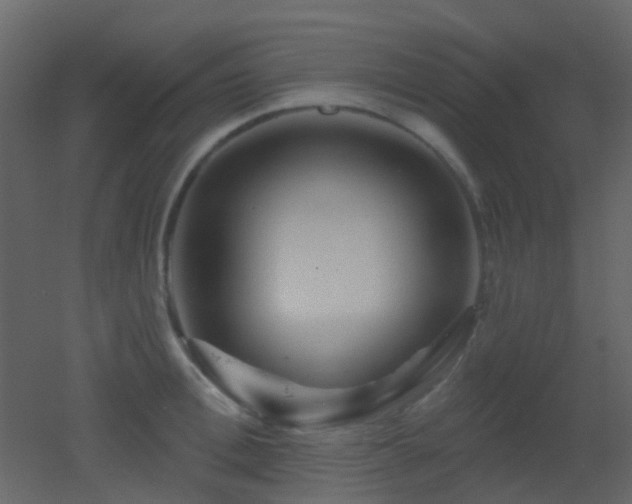 X0000053060996200507111147