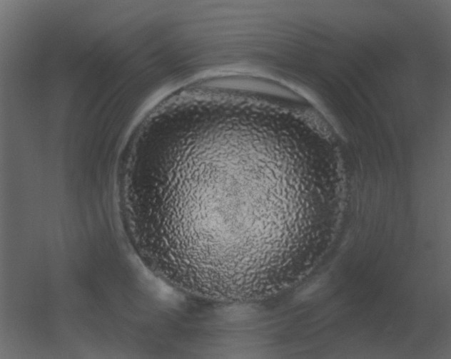 X0000053060998200507111147