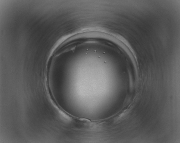 X0000053061005200507111147