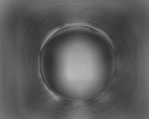 X0000053061006200507111147