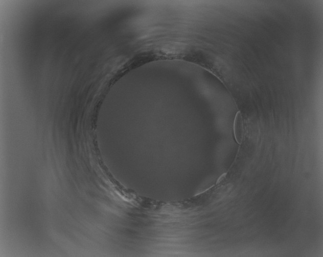 X0000053061009200507111146