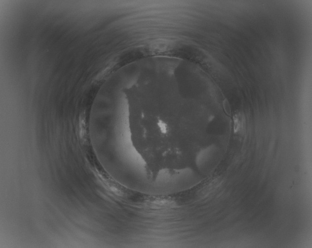 X0000053061011200507111146