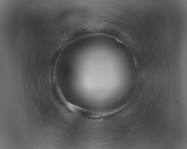 X0000053061012200507111146