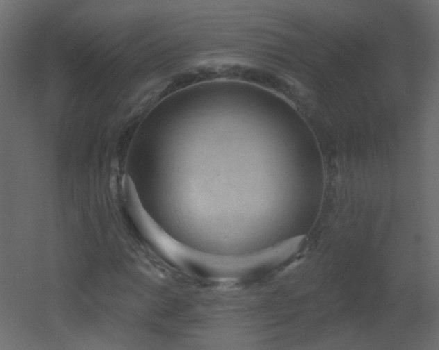 X0000053061014200507111146