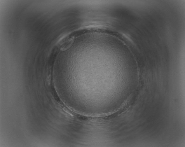 X0000053061015200507111146