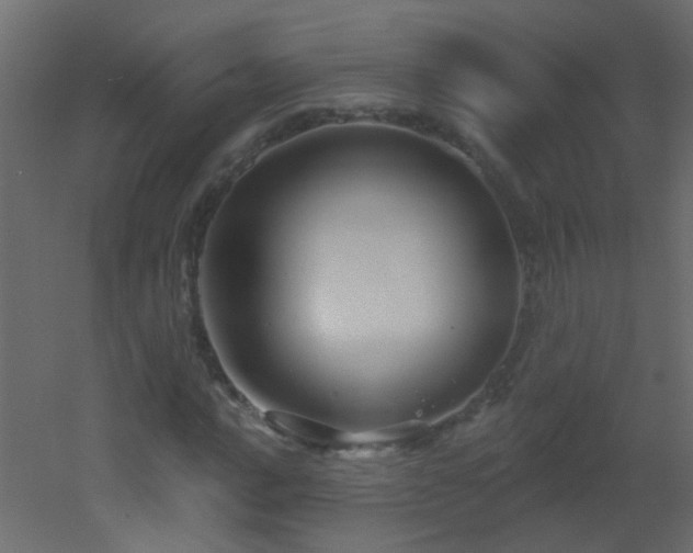 X0000053061016200507111146