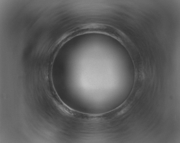X0000053061017200507111146